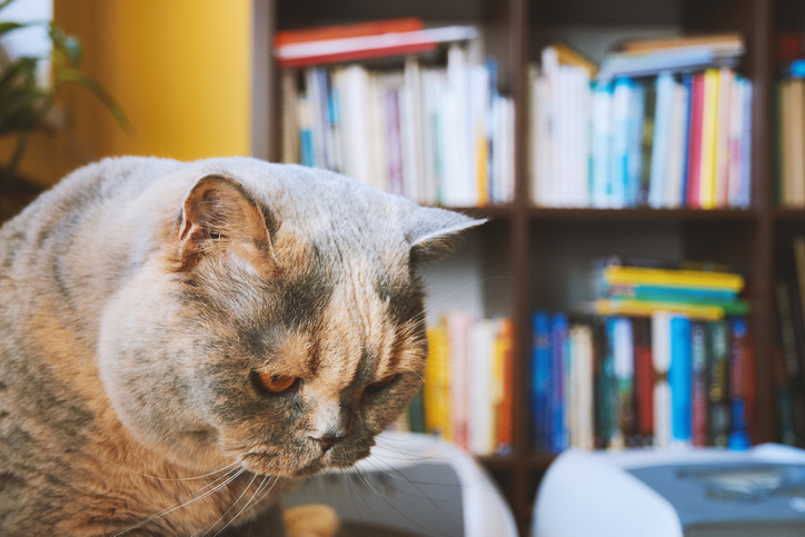 いくらなんでも“ありのまま”すぎ（写真:iStock）