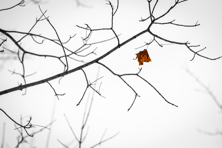 乾燥はお肌の大敵（写真:iStock）