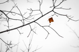 冬の乾燥に負けない「ツヤ肌メイク術」5選…秘訣はベース