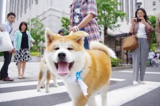 ワタシを見て 2019.2.20（水）