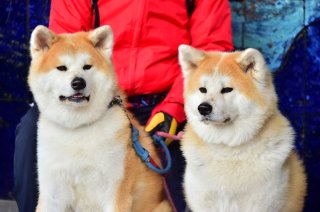 ねーねー 2019.2.23（土）