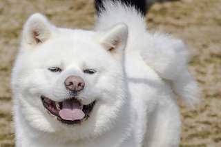 まつげ長っ 2019.2.26（火）