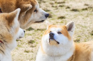 今月もよろしくね 2019.3.1（金）