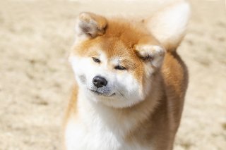 マサルの妹です♥ 2019.3.4（月）