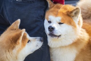 ９週と３日 2019.3.7（木）