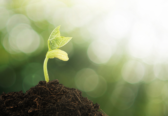 どう接していけばいい？（写真:iStock）