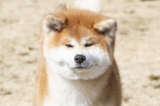 ムフフ 2019.3.13（水）