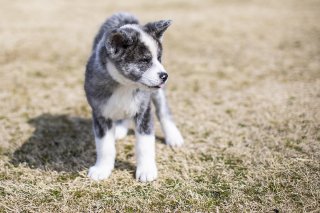 突然の親デビュー 2019.3.16（土）