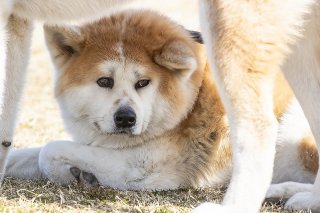 憂鬱…？ 2019.3.19（火）