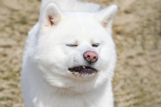 やっぱりまつげ長っ 2019.3.25（月）