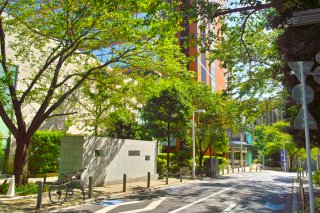 【お菓子作り編・上】ファビュラスな男性はいるのか？