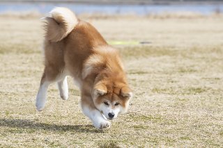 浮足立つ 2019.4.3（水）