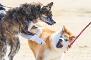 YELL 2019.4.9（火）