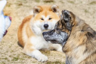 井戸端会議 2019.4.12（金）