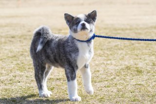 お散歩に来たよ 2019.4.21（日）