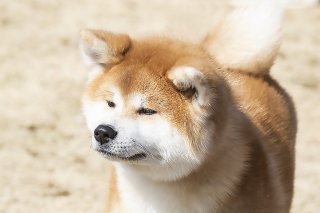 惹かれ顔 2019.4.24（水）