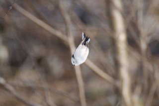 GW2日目 2019.4.28（日）