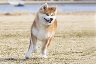 ガチ前のめり 2019.4.30（火）