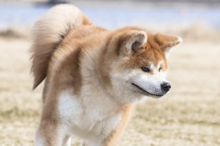 チラ見 2019.5.3（金）