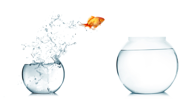 釣った魚にエサをやらないタイプには未練ナシ！（写真:iStock）