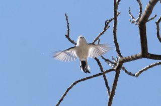 魅せられて 2019.5.10（金）