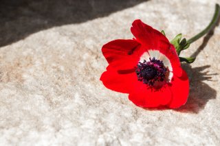 「え、悪性って…」病院を出たら子宮頸がん患者になっていた