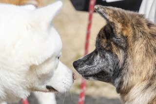 お立ち合い 2019.5.12（日）