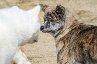引き分け 2019.5.15（水）