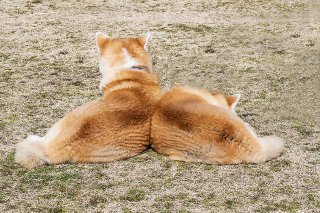 午後の休息 2019.5.18（土）