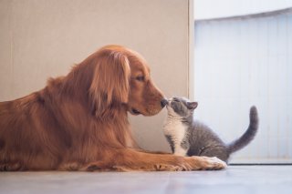 男性はやっぱり若い女性が好き？大人女性が持つべき魅力とは