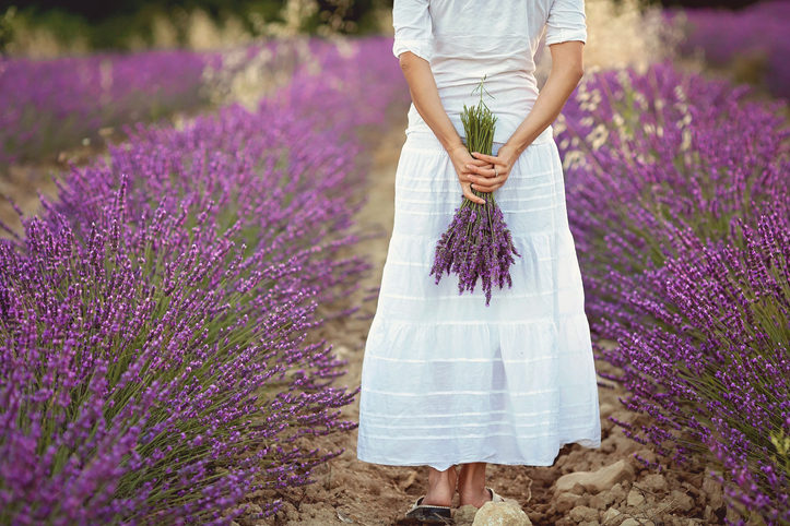 ラベンダーを飾るのにベストな場所は？（写真:iStock）