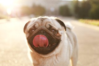 同棲編<4>【女の力量】男の腐った嘘を信じてあげる愛(試し)