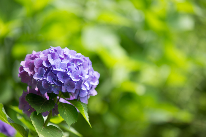 ひとりで頑張りすぎない（写真:iStock）