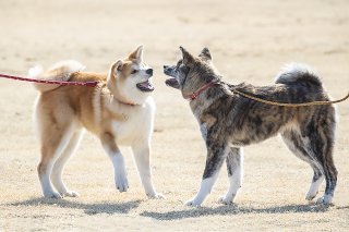 同伴デート 2019.6.2（日）