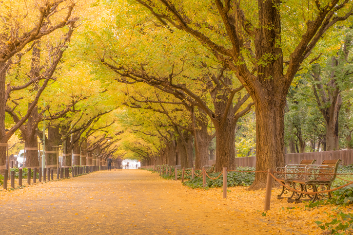 貪欲にいこう！（写真:iStock）