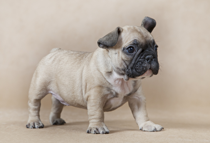 だんだん顔がたるんできちゃう（写真:iStock）