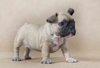 今や美人顔の常識！「鼻下は短く」をメイクのひと手間でGET