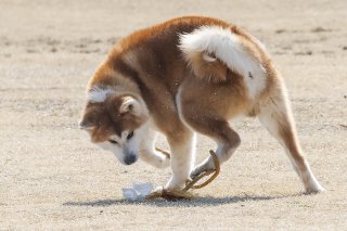 足元を見る 2019.6.5（水）