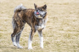 気分転換 2019.6.8（土）