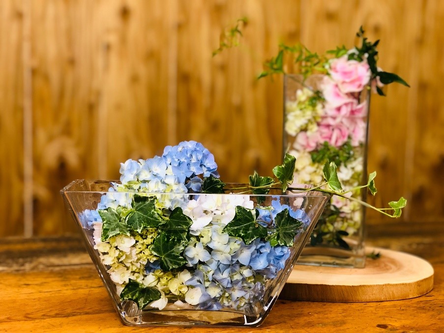 （写真：aribaba）