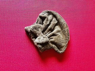 お泊りデートに便利 “かわいくてキレイになる”神アイテム3選