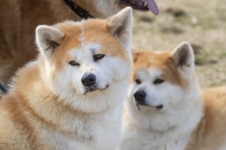 口角よーし 2019.6.14（金）