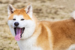 びよーん 2019.6.17(月)