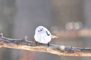 私は女優 2019.6.18(火)