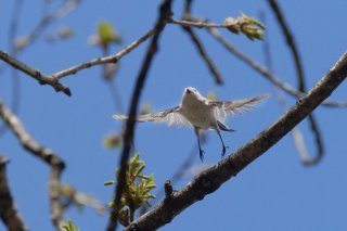 青空と僕 2019.6.21(金)