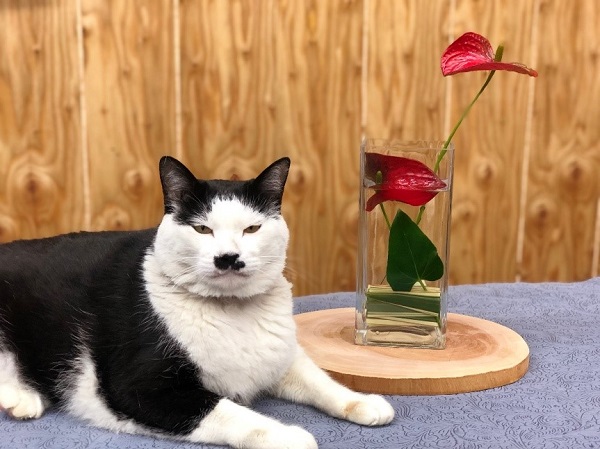 （写真:斑目茂美)