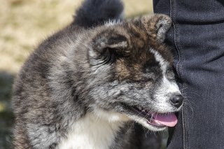 ほおずり 2019.6.26(水)