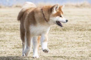 密かに 2019.7.2（火）