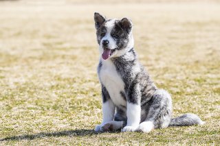 ボクも密かに 2019.7.5（金）