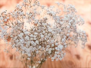 七夕の日に飾りたい…疲れた心は“地上の天の川”に癒されて